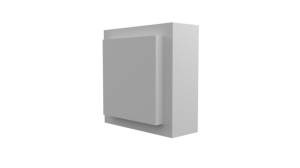 WS06